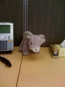 Brucoe, a real man's stuffed animal who takes no crap from anyone, especially cell phone companies